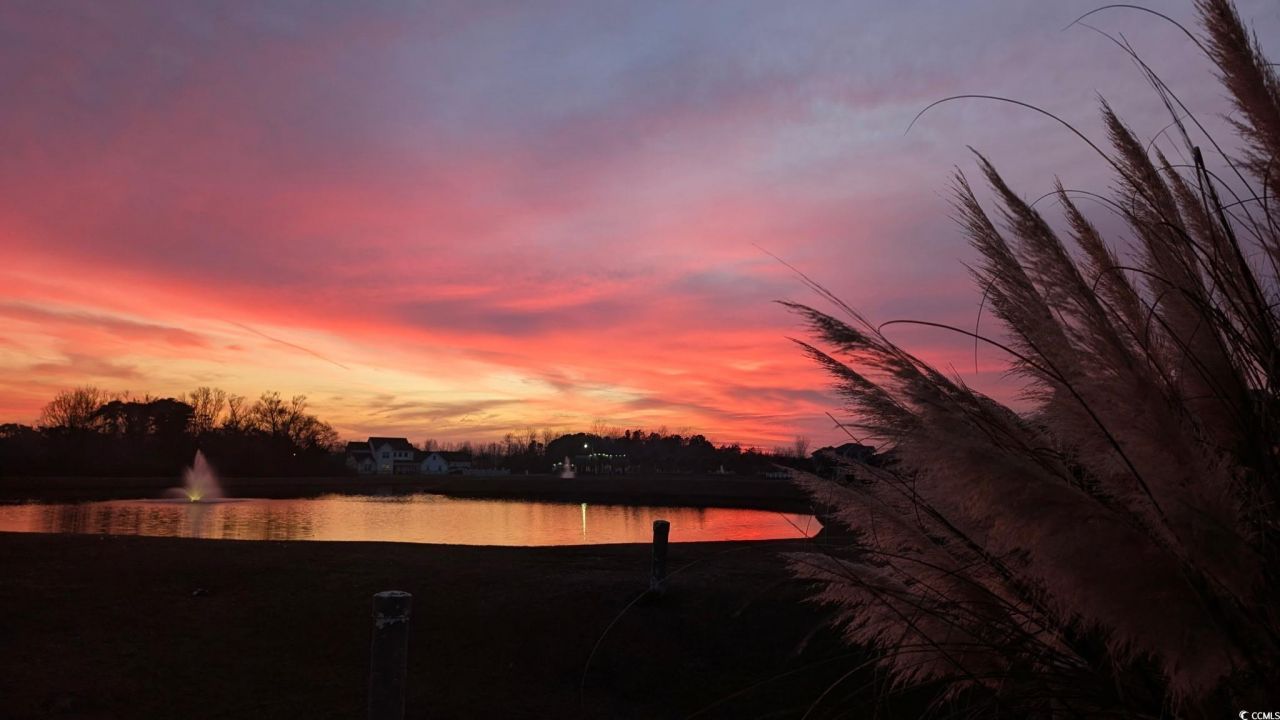 304 Spartina Ct. Photo 37