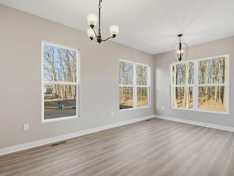 3668 Colts Reign Drive, Powell, OH 43065 Photo 22