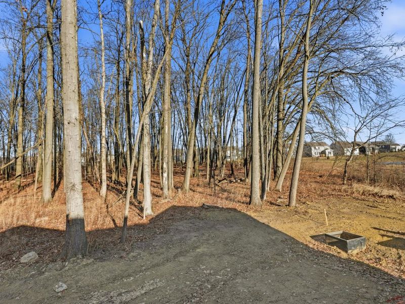 3668 Colts Reign Drive, Powell, OH 43065 Photo 39