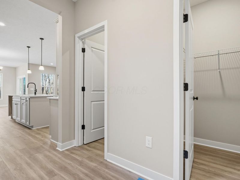 3668 Colts Reign Drive, Powell, OH 43065 Photo 6