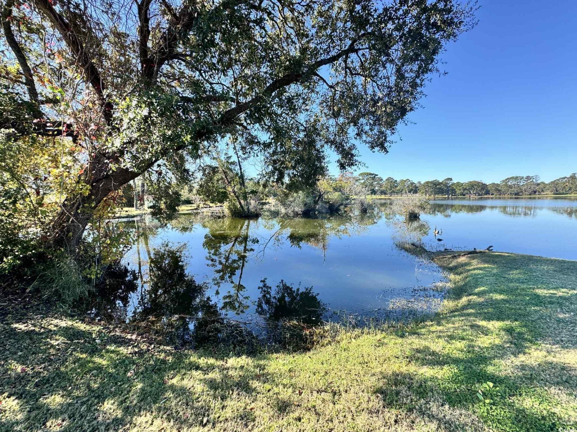 501 Maison Dr. Photo 33