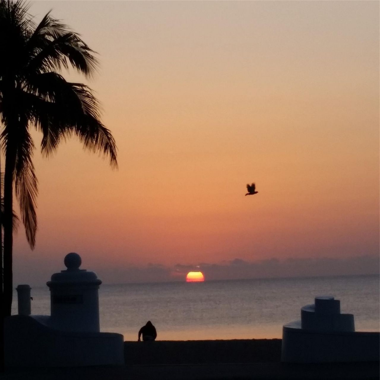 900 NE 18th Avenue, Unit 602, Fort Lauderdale, FL 33304 Photo