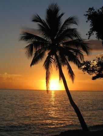 900 NE 18th Avenue, Unit 602, Fort Lauderdale, FL 33304 Photo