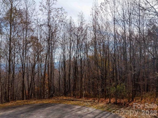 242 Nottingham Drive, Mill Spring, NC 28756