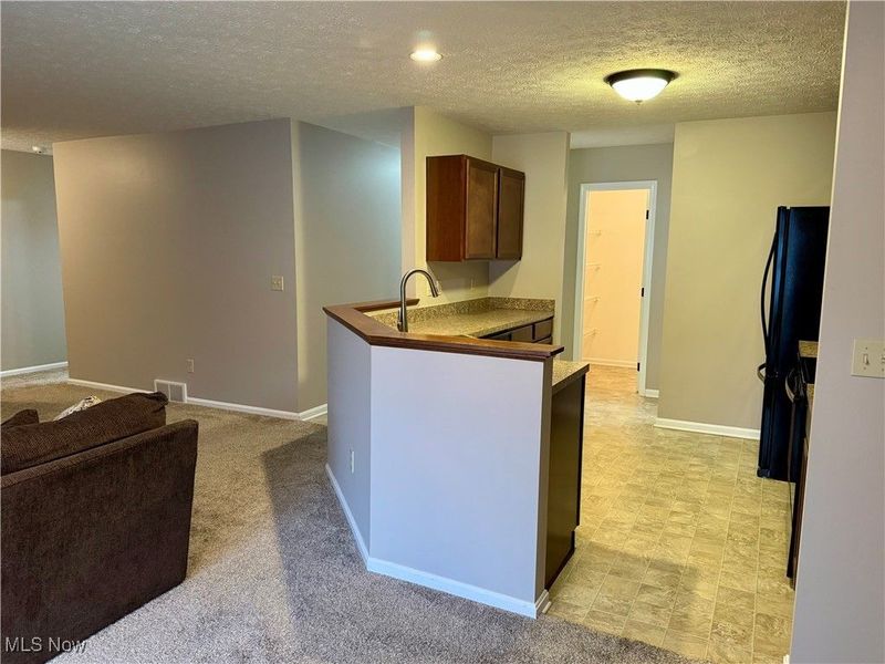 118 Carrington Court, Elyria, OH 44035 Photo 14