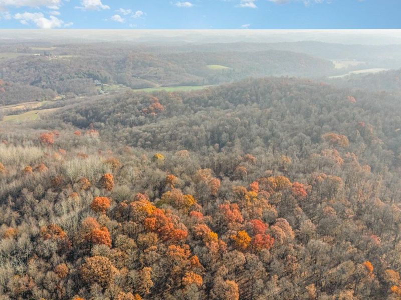 30870 Jug Run Road, Frazeysburg, OH 43822 Photo 1