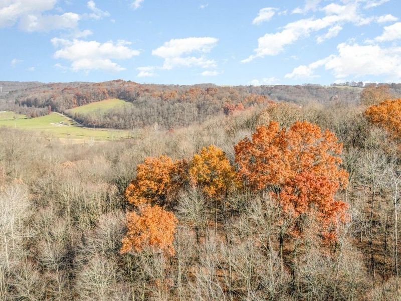 30870 Jug Run Road, Frazeysburg, OH 43822 Photo 10