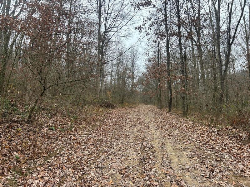 30870 Jug Run Road, Frazeysburg, OH 43822 Photo 16