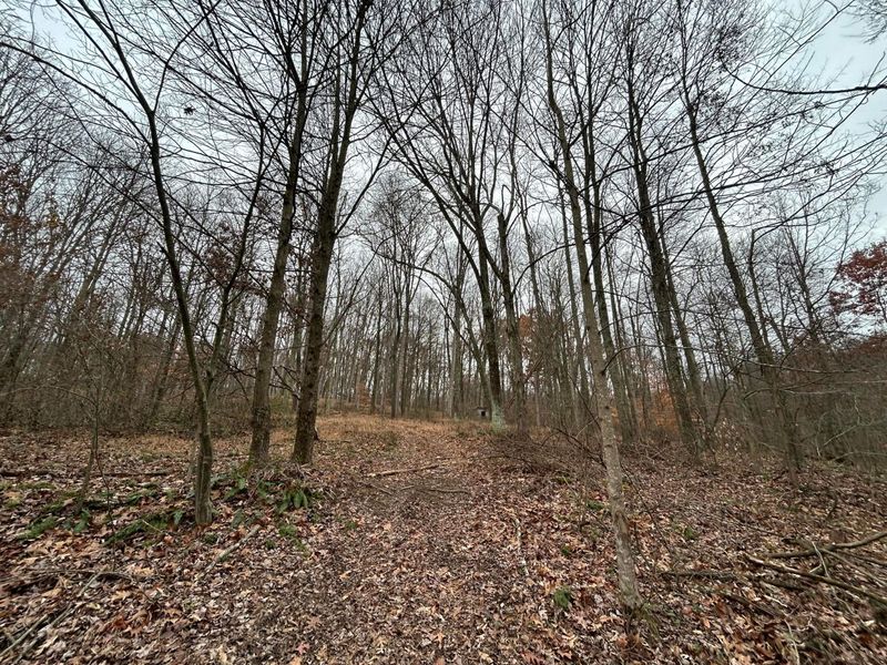 30870 Jug Run Road, Frazeysburg, OH 43822 Photo 17
