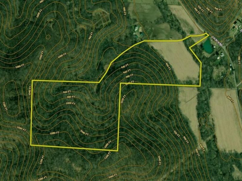 30870 Jug Run Road, Frazeysburg, OH 43822 Photo 18