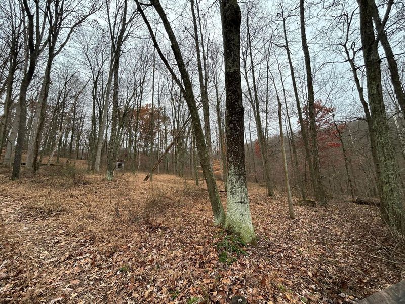 30870 Jug Run Road, Frazeysburg, OH 43822 Photo 19