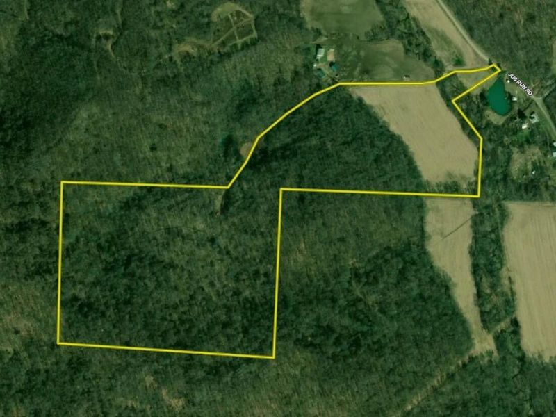 30870 Jug Run Road, Frazeysburg, OH 43822 Photo 22