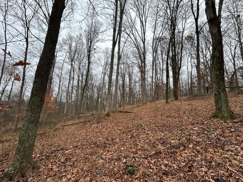 30870 Jug Run Road, Frazeysburg, OH 43822 Photo 23