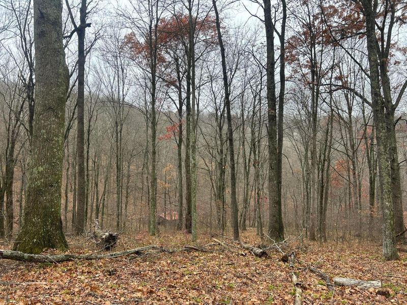 30870 Jug Run Road, Frazeysburg, OH 43822 Photo 24