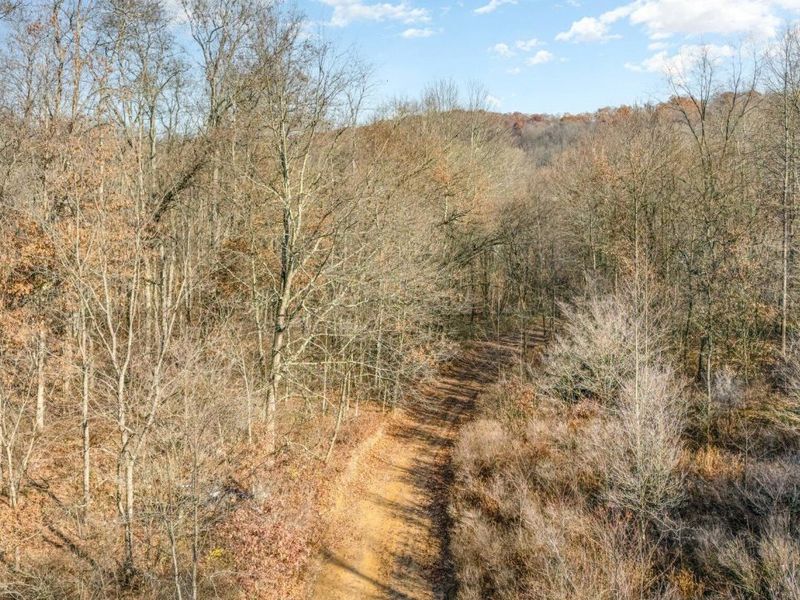 30870 Jug Run Road, Frazeysburg, OH 43822 Photo 8