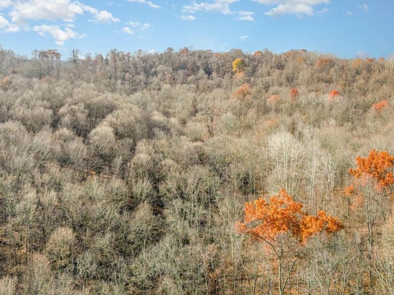 30870 Jug Run Road, Frazeysburg, OH 43822 Photo 9
