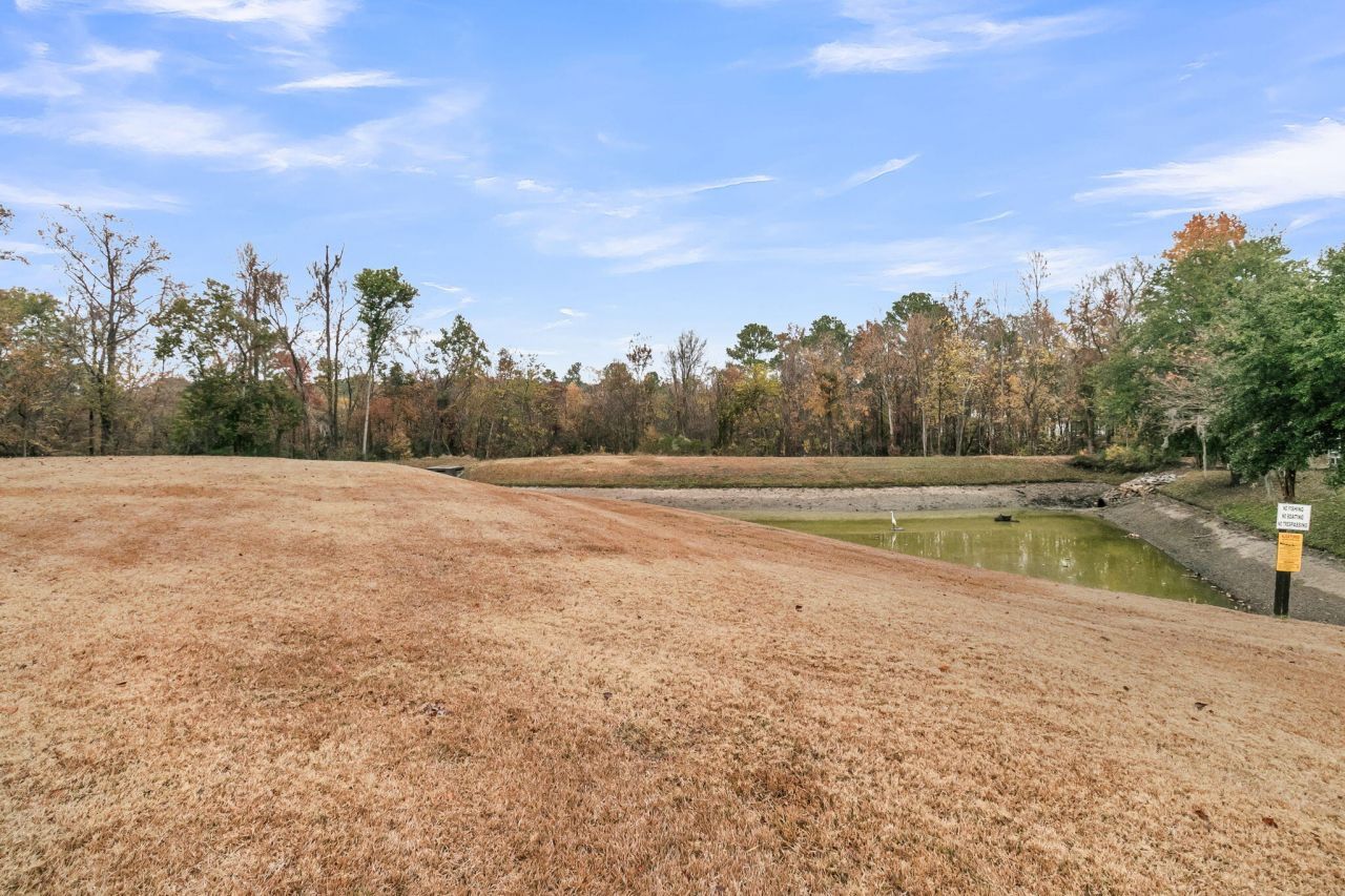 151 Darcy Avenue Photo 33