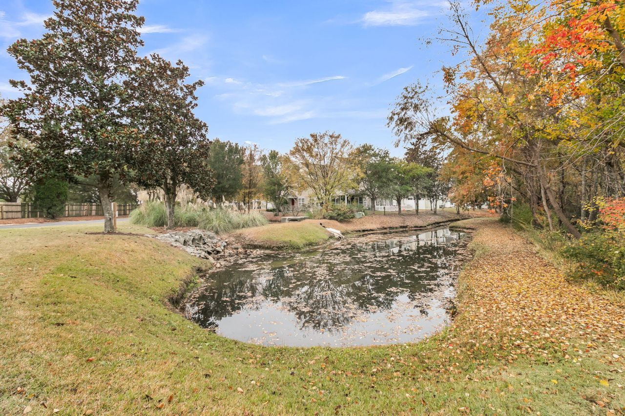 151 Darcy Avenue Photo 34