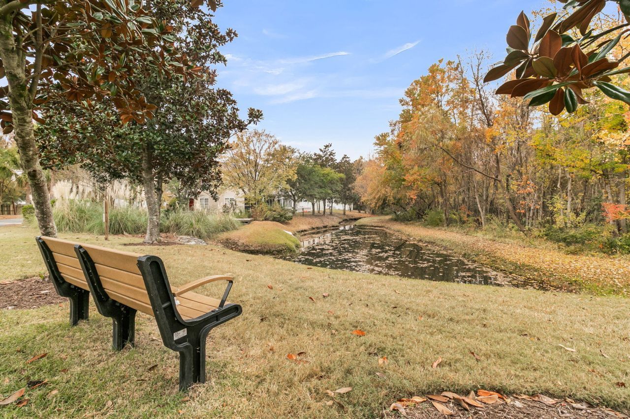 151 Darcy Avenue Photo 35