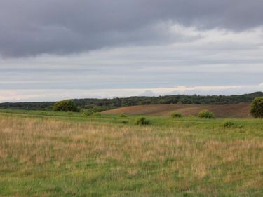 TBD Norwegian Road, Vining, MN 56588