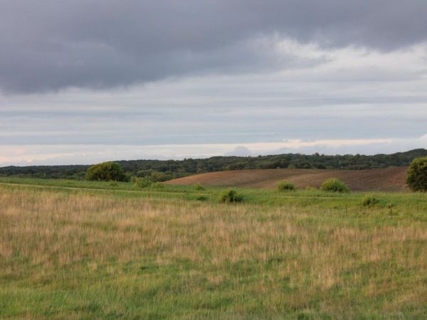 TBD Norwegian Road, Vining, MN 56588