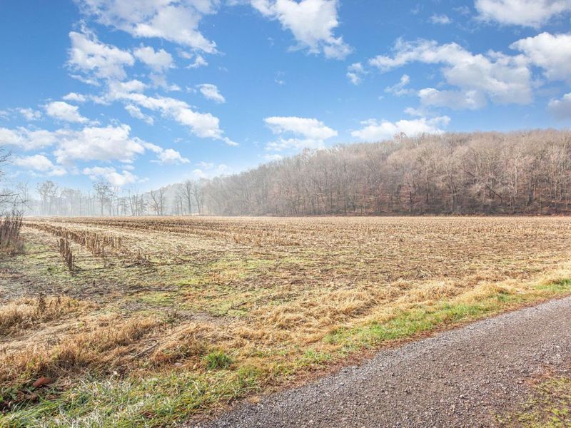 30870 Jug Run Road, Frazeysburg, OH 43822 Photo 37