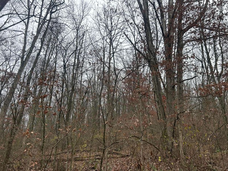 30870 Jug Run Road, Frazeysburg, OH 43822 Photo 42