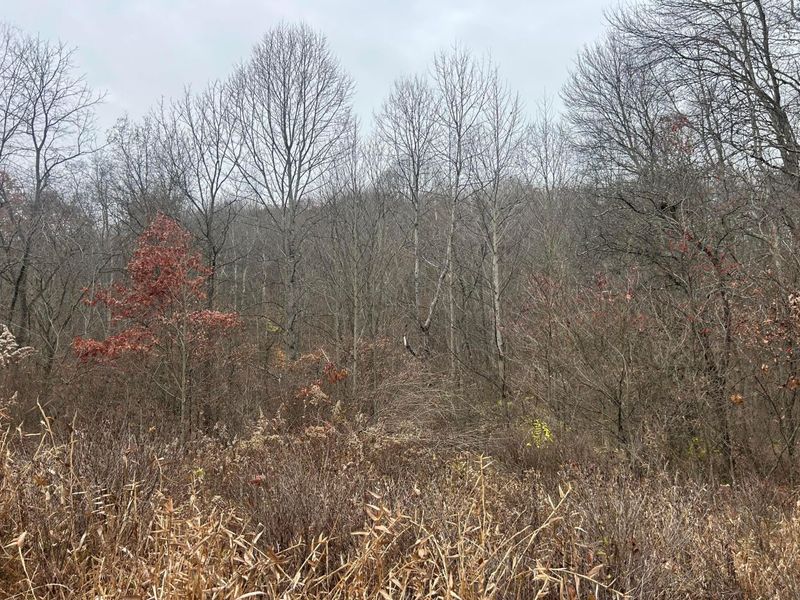 30870 Jug Run Road, Frazeysburg, OH 43822 Photo 44