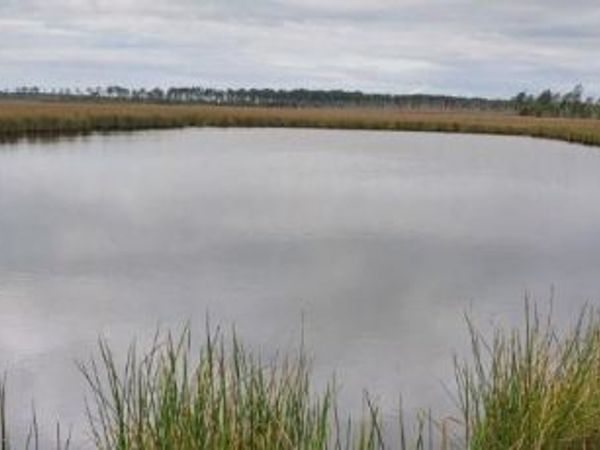 3241 ROBBINS ROAD, CRAPO, MD 21626