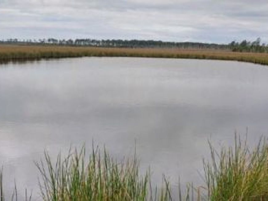 3241 Robbins Road, Crapo, MD 21626 Main Photo