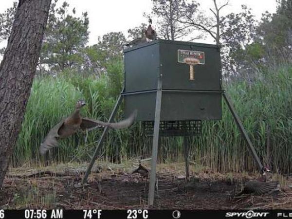 3241 ROBBINS ROAD, CRAPO, MD 21626