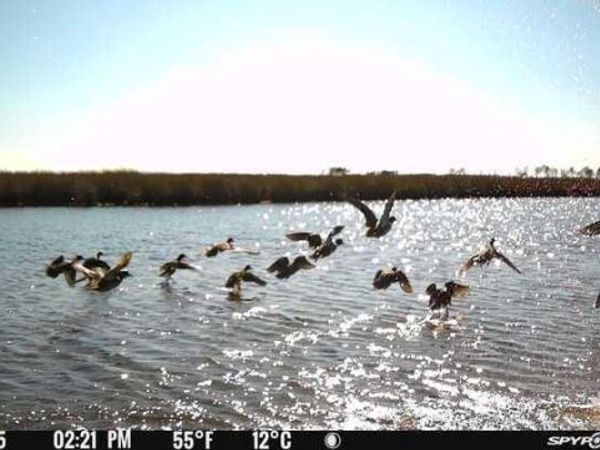 3241 ROBBINS ROAD, CRAPO, MD 21626