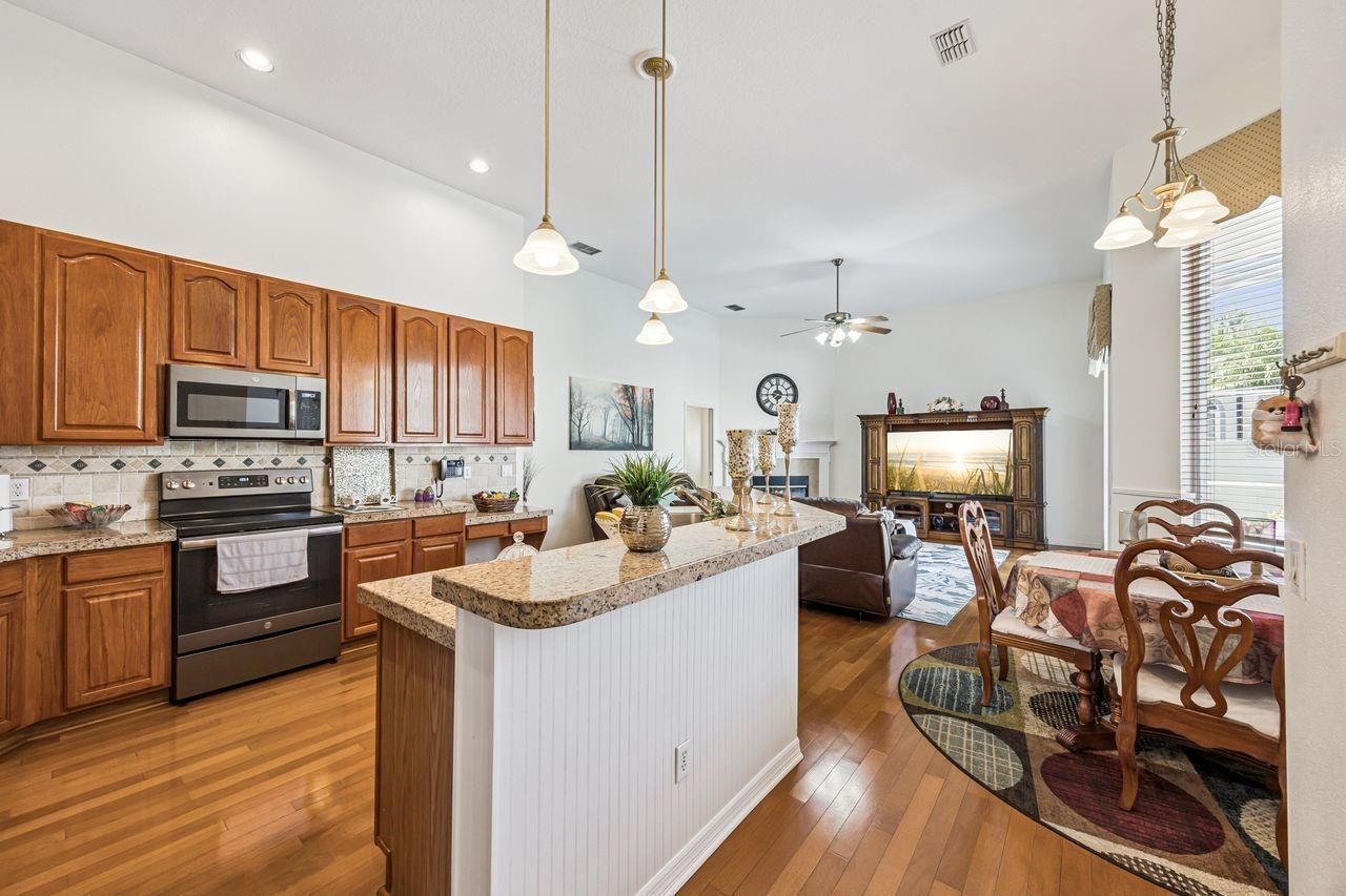 14420 Hatchee Court, Orlando, FL 32837 Photo