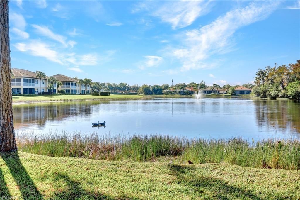 20881 Wildcat Run Dr, Unit 5, Estero, FL 33928 Photo