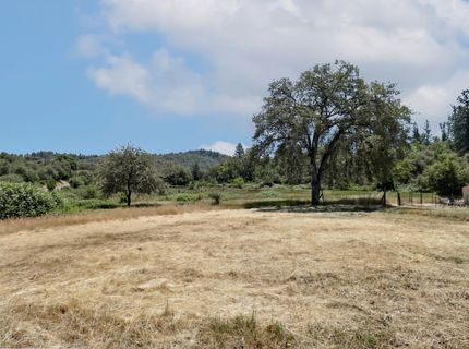 22115 Pleasant Valley Rd, North San Juan, CA 95960 Photo