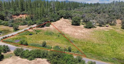 22115 Pleasant Valley Rd, North San Juan, CA 95960 Photo