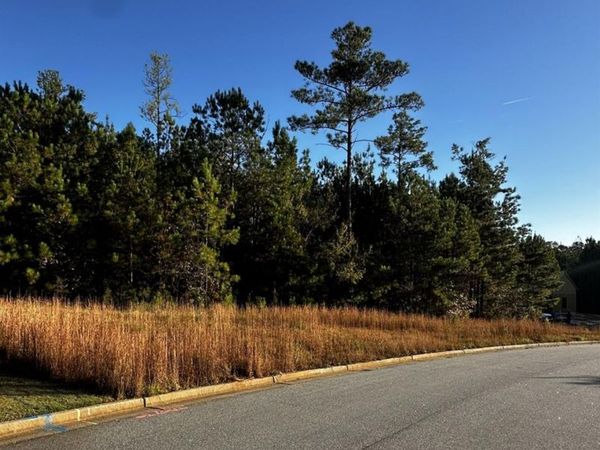 Lot 65 Green Terrace , Newnan, GA 30265
