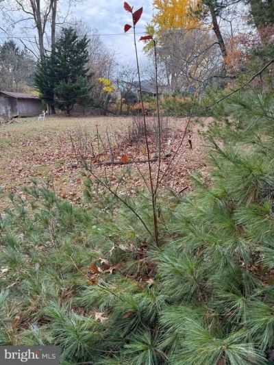 2540 Flint Hill Road, Vienna, VA 22181 Main Photo