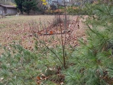 2540 FLINT HILL ROAD, VIENNA, VA 22181