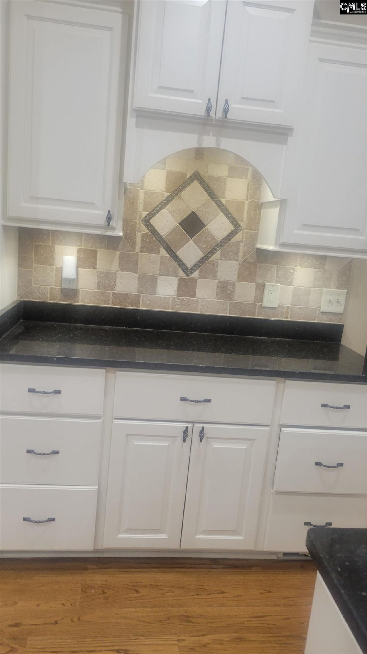 211 Cutters Cove Court  Photo 16