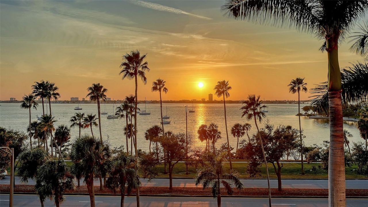 500 S Palm Avenue, Unit 31, Sarasota, FL 34236 Photo