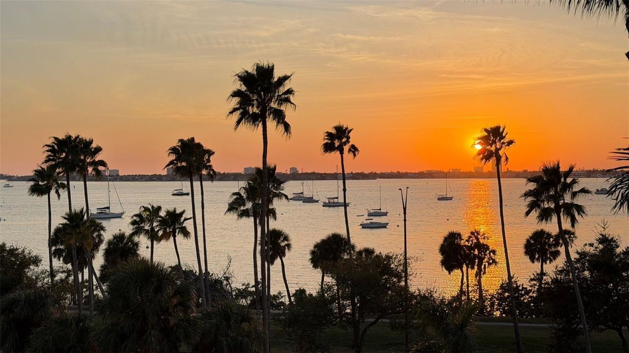 500 S Palm Avenue, Unit 31, Sarasota, FL 34236 Photo