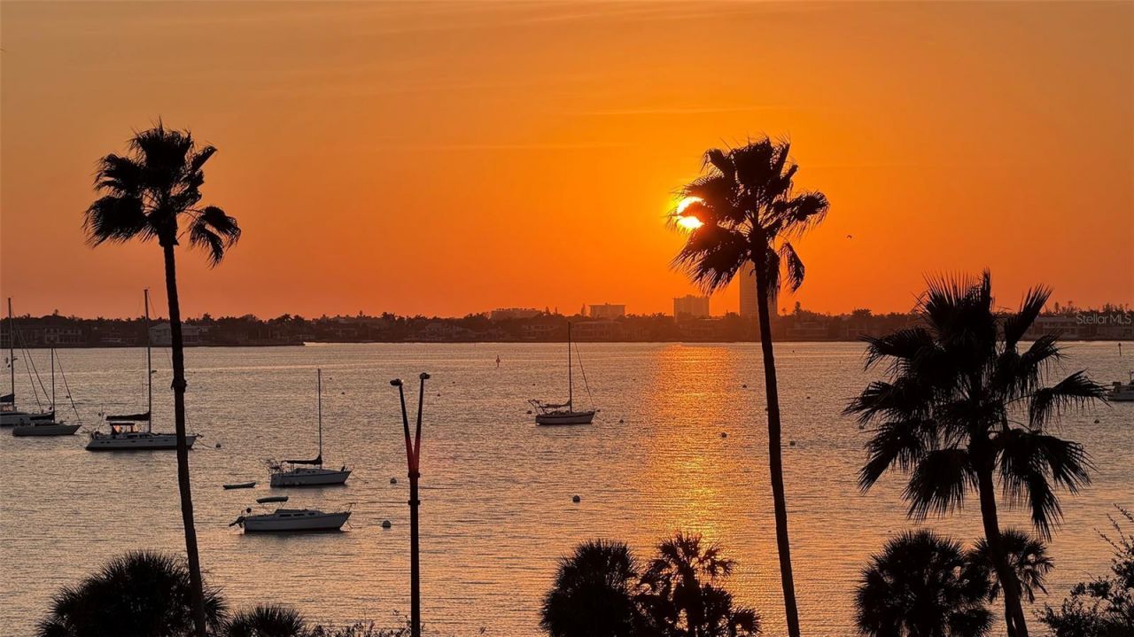 500 S Palm Avenue, Unit 31, Sarasota, FL 34236 Photo