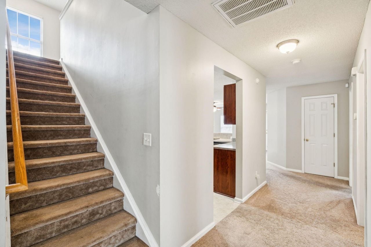 437 Dovetail Circle Photo 12