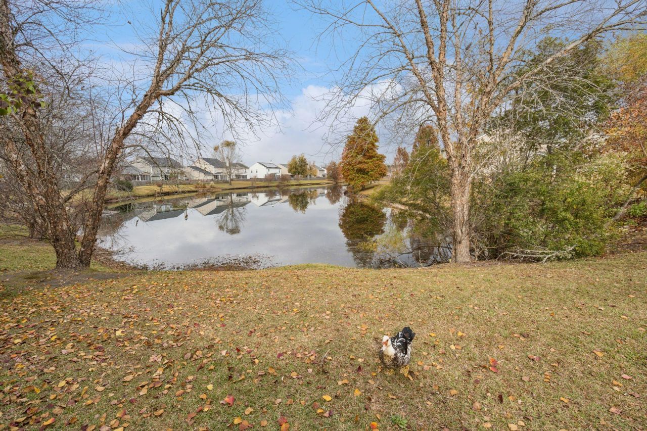 437 Dovetail Circle Photo 64