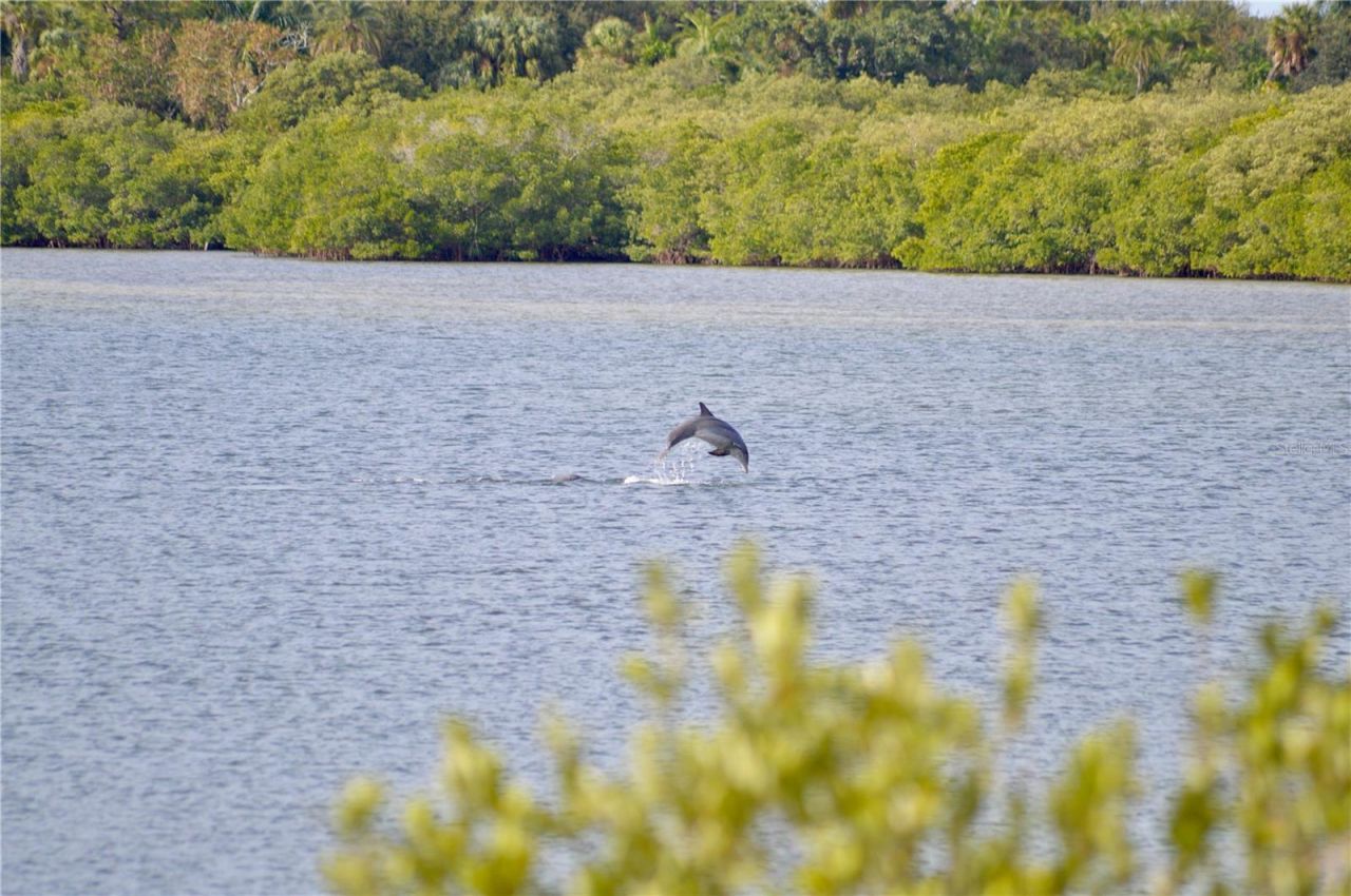 5523 2nd Avenue Circle W, Palmetto, FL 34221 Photo