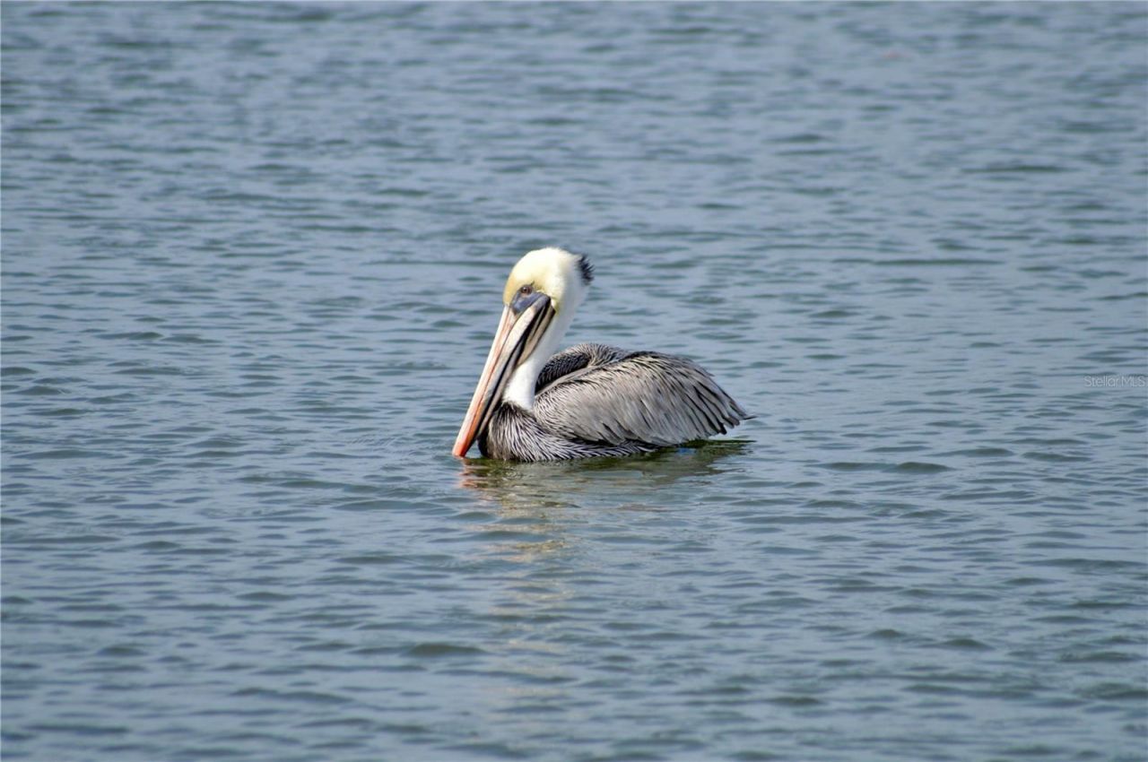 5523 2nd Avenue Circle W, Palmetto, FL 34221 Photo