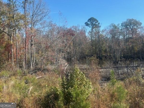 0 JD Williams Road, Cadwell, GA 31009