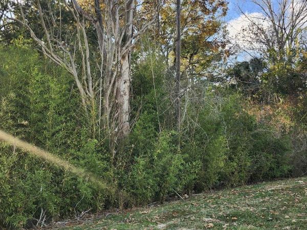 TBD Greenwell Springs Rd, Baton Rouge, LA 70814