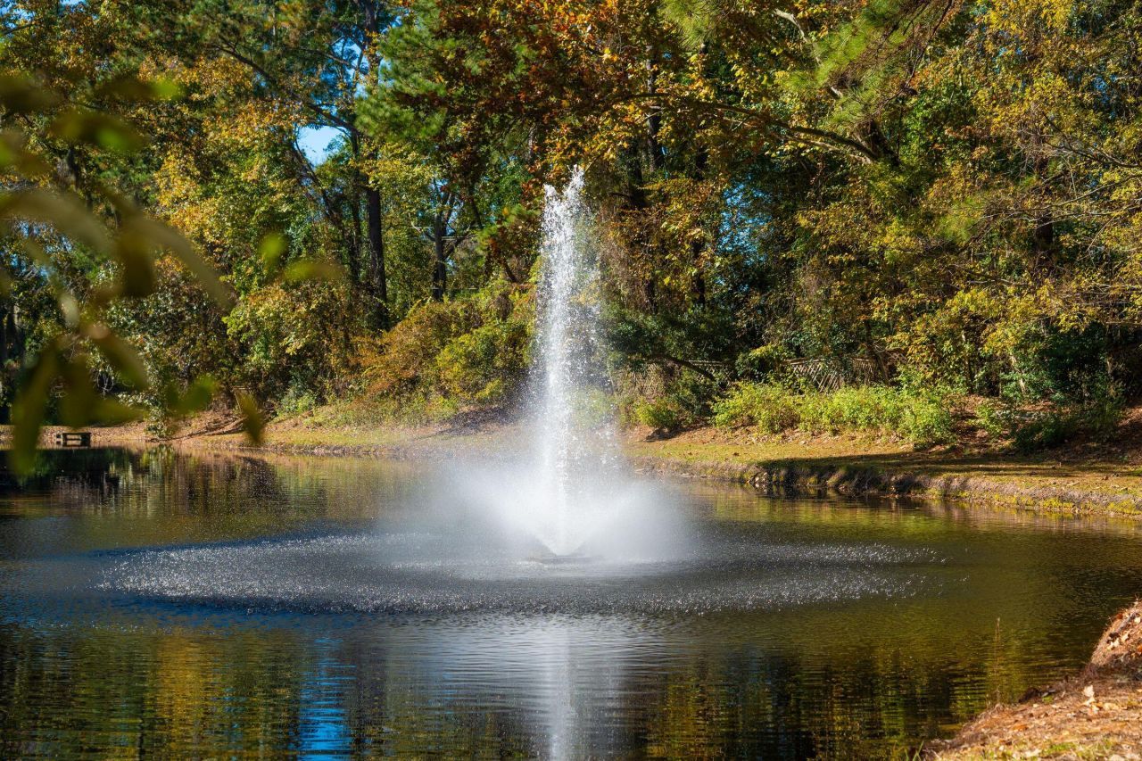 7951 Cricket Court Photo 31